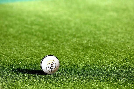 BOXCO Skyline Cricket Leather Ball for T20, One Day and Test Matches, 4-Piece, Hand Stitched, 50 Overs (White)