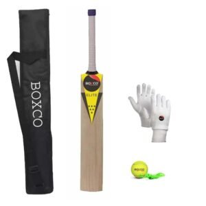 Elite Bat + Hanging Ball + Gloves (3 No)